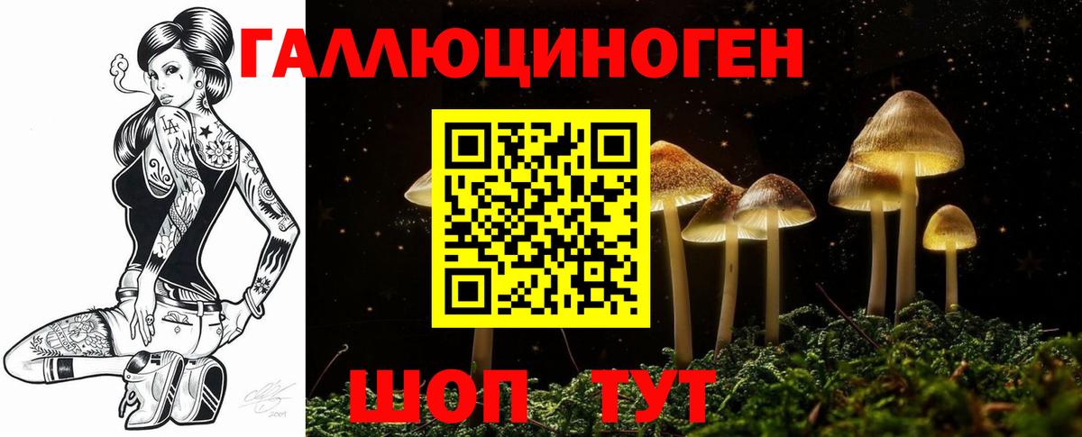 Галлюциногенные грибы MAGIC MUSHROOMS Хабаровск