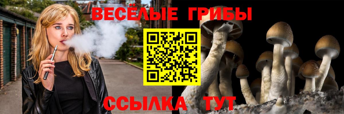 Галлюциногенные грибы мицелий  Вход с VPN  купить закладку  Хабаровск 